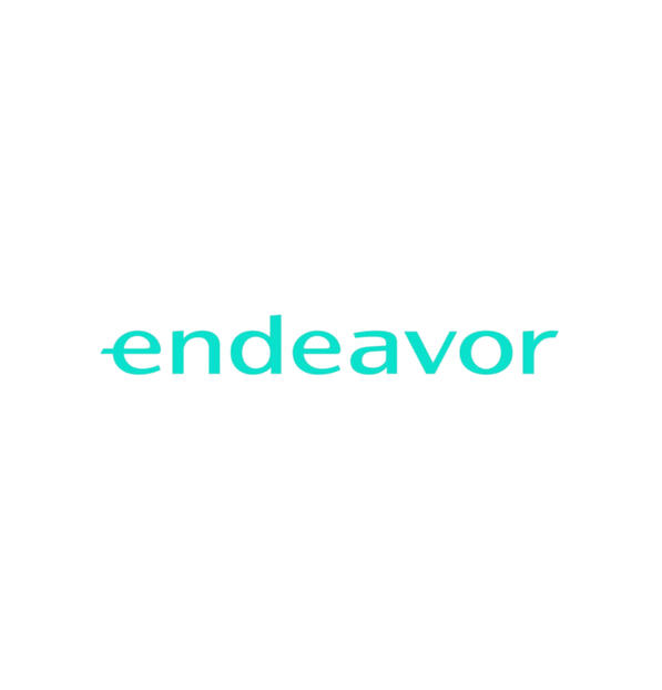 endeavor endeavor
